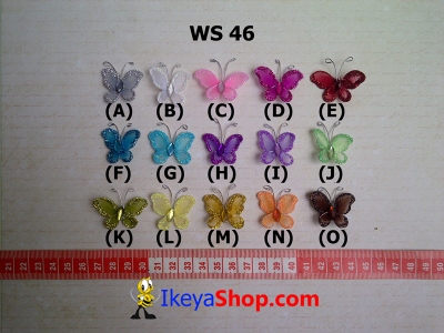 WS 46  large2